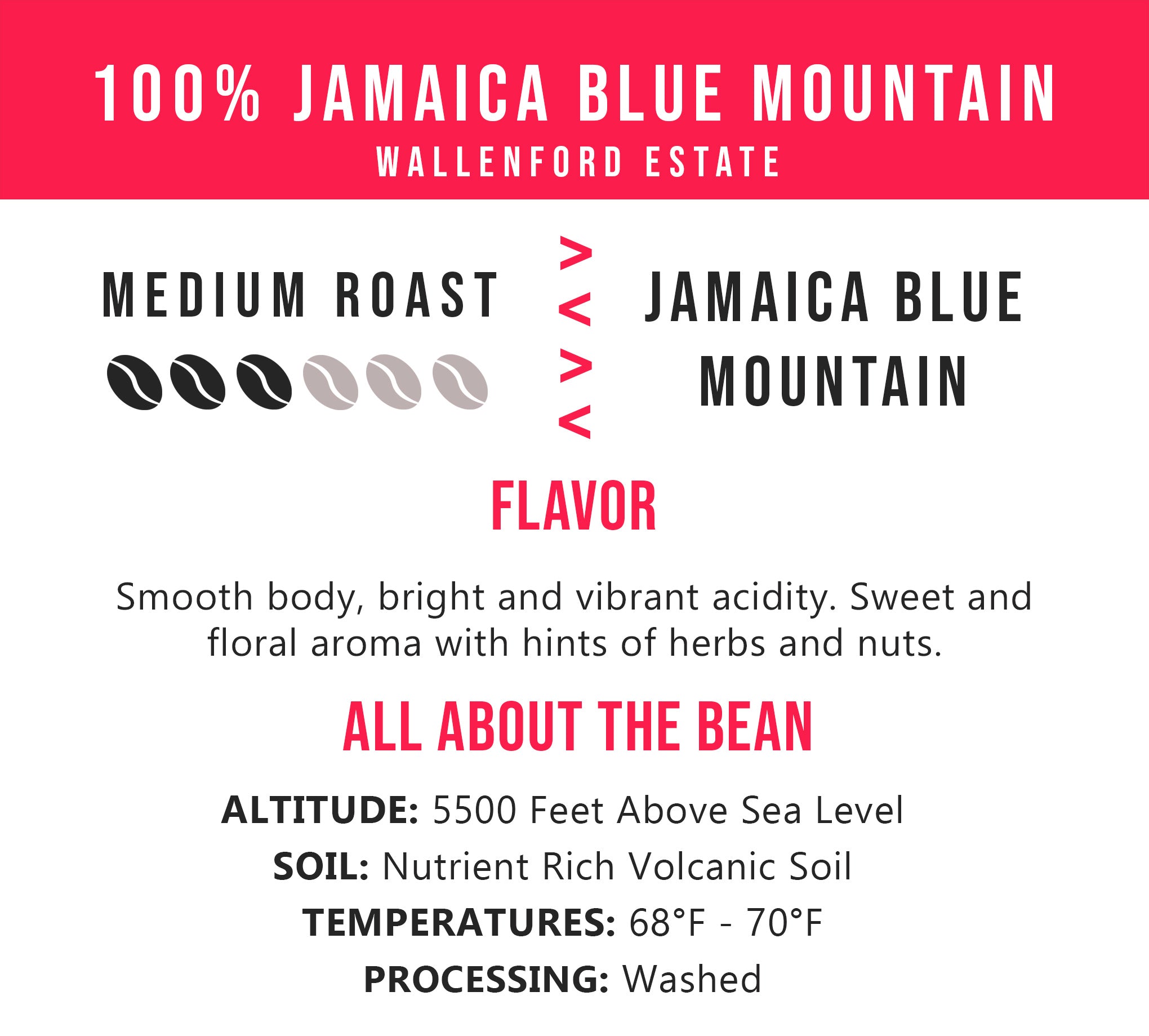 100% Jamaica Blue Mountain